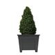 Fixtures Grosvenor Square Planter Black/Ebony 27cm