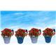 Fixtures Hang Easy Single Blue Planter