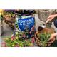 Westland Container & Basket Planting Peat Free Mix 25L