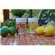 Vitax 200g Citrus Feed for Summer {Tub}