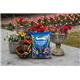 Westland Container & Basket Planting Peat Free Mix 25L