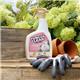 Miracle Grow Fungus Clear Ultra Gun 800ml
