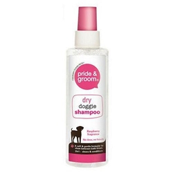 Pride & Groom Dry Shampoo Spray 200ml - PACK (12)