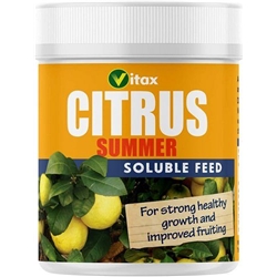 Vitax 200G Citrus Feed For Summer {Tub}