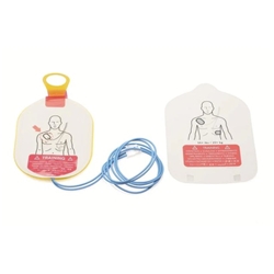 Replacement Pads, Infant/Child Training