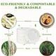 Belgravia CaterPack 7â€ Biodegradable & Compostable Bowl {50 Pack}