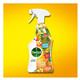 Dettol Peony & Rose Multi Purpose Cleaner Spray 750ml