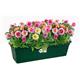 Elho Green Basics Large Trough 60cm LEAF GREEN