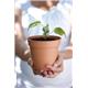 Elho Green Basics Grow Pot 19cm TERRACOTTA