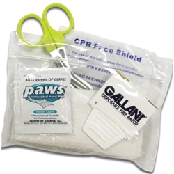 Replacement CPR-D Demo Pads Includes a pair of CPR-D replacement  electrode pad