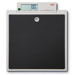 The Seca Doctor scale