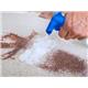 1001 Carpet Trouble Shooter Stain Remover 500ml