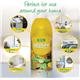 AirPure Citrus Zing Freshmatic Compatible Refill 250ml