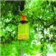 Zero In Fly Max Fly Catcher Bait Refill 3's (STV337)