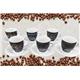 Fixtures Design Espresso Cup & Saucer 12 Piece Set