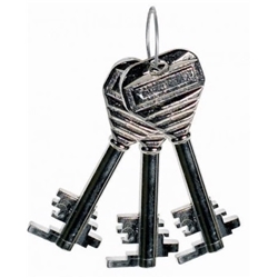 Additional/Replacement Drug Cabinet Key ( when ordered later)