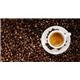 Fixtures Design Espresso Cup & Saucer 12 Piece Set