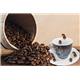 Fixtures Design Espresso Cup & Saucer 12 Piece Set