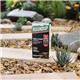 Roundup Tree Stump N Root Killer 250ml