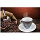 Fixtures Design Espresso Cup & Saucer 12 Piece Set