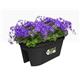 Elho Green Basic Flower Bridge 55cm LIVING BLACK