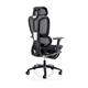 Horizon Executive Mesh Chair With Height Adjustable Arms
