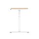 Air 1600 x 600mm Height Adjustable Desk Maple Top Cable Ports White Leg