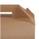 Colpac Recyclable Kraft Gable Boxes Large (125 Pack)