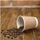 Vegware Compostable Coffee Cups Double Wall 230ml / 8oz (500 pack)
