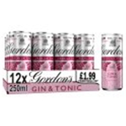 Gordon's Pink Gin & Tonic 12 X 250Ml (S)