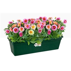 Elho Green Basics Large Trough 60Cm Leaf