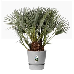 Elho Greenville Round INDOOR Pot & Base LIVING CONCRETE 40cm
