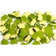 Haribo Terrific Turtles Tub 150's