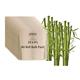 Plaine Bamboo 3-Ply Toilet Rolls 310 Sheet