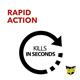 Raid Fly and Wasp Killer Aerosol 300ml