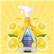 Astonish Zesty Lemon Kitchen Cleaner 750ml