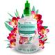 Airwick Active Fresh Air Freshener Automatic Spray Set & Eucalyptus & Freesia 228ml - PACK (4)