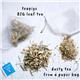 Teapigs Lemon & Ginger Tea Bags Made With Whole Leaves 50's