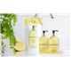 Baylis & Harding Sweet Mandarin & Grapefruit 2x500ml Bottle Set (in a Clear Acrylic Rack)