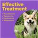 Bob Martin Clear 3-in-1 Wormer for Dogs (2 Tablets) - For Small Dogs and Puppies