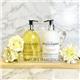 Baylis & Harding Sweet Mandarin & Grapefruit 2x500ml Bottle Set (in a Clear Acrylic Rack)
