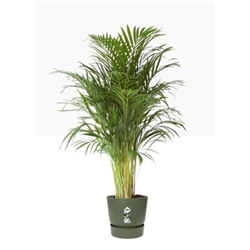 Elho Greenville Round Pot & Base GREEN 40cm - PACK (3)