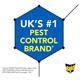 Raid Fly and Wasp Killer Aerosol 300ml