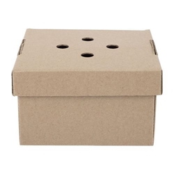 Fiesta Compostable Fold-Out Burger Boxes (100 Pack)