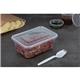 Fiesta Recyclable Plastic Microwavable Containers with Lid Large 1000ml (250 Pack)