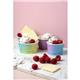 Vegware Single Scoop Ice Cream Pot Tutti Frutti 4oz (1000 pack)