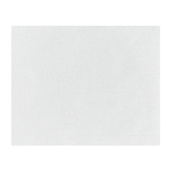 Fiesta Compostable Burger Wraps White 250x200mm (200 Pack)