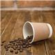 Vegware Compostable Coffee Cups Double Wall 230ml / 8oz (500 pack)