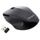 Targus Wireless Optical Mouse