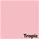Image Coloraction Pale Pink (Tropic) FSC4 SRA2 450x640mm 80Gm2 Pack 500